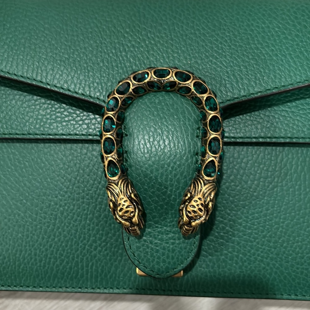 Dionysus Bag
Green Gucci bag